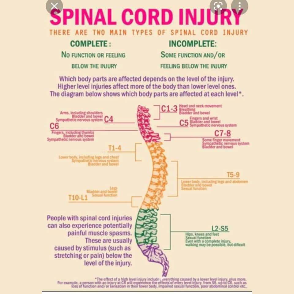 What You Need to Know About Spinal Cord Injury