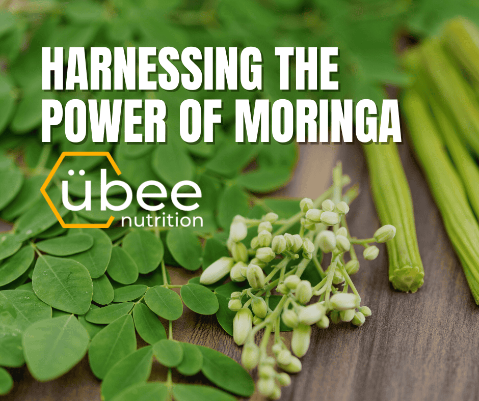 Harnessing the Power of Moringa