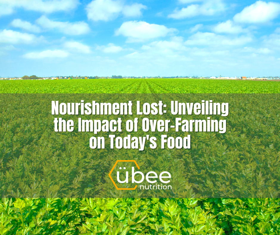 Nourishment Lost: Unveiling the Impact of Over-Farming on Today’s Food